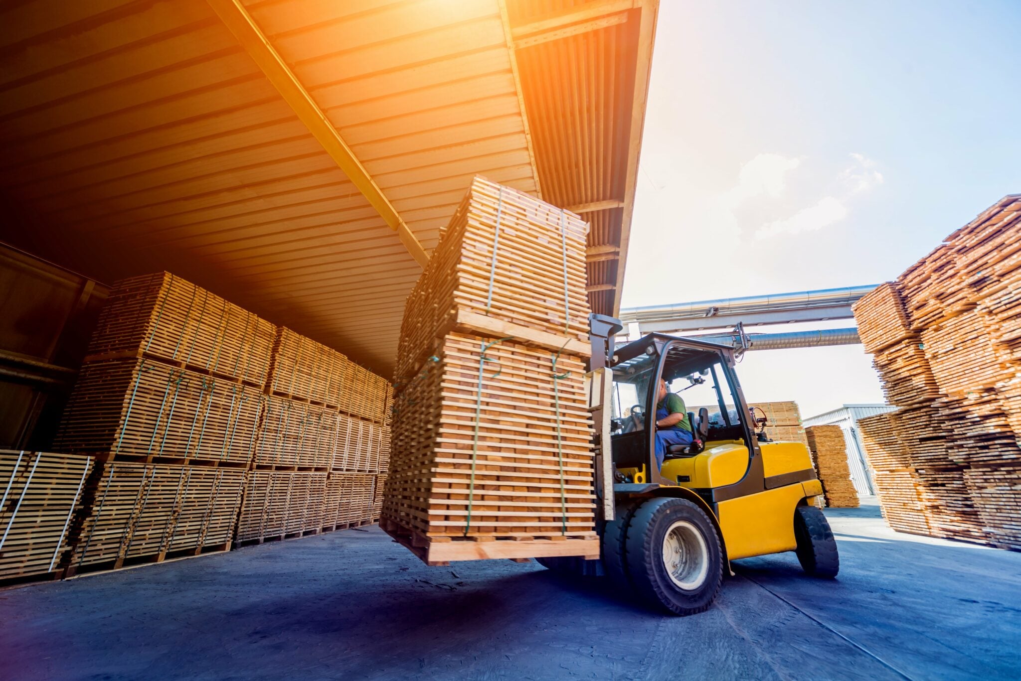 Workplace Automation Impact: Balancing Efficiency Gains with Human Employment